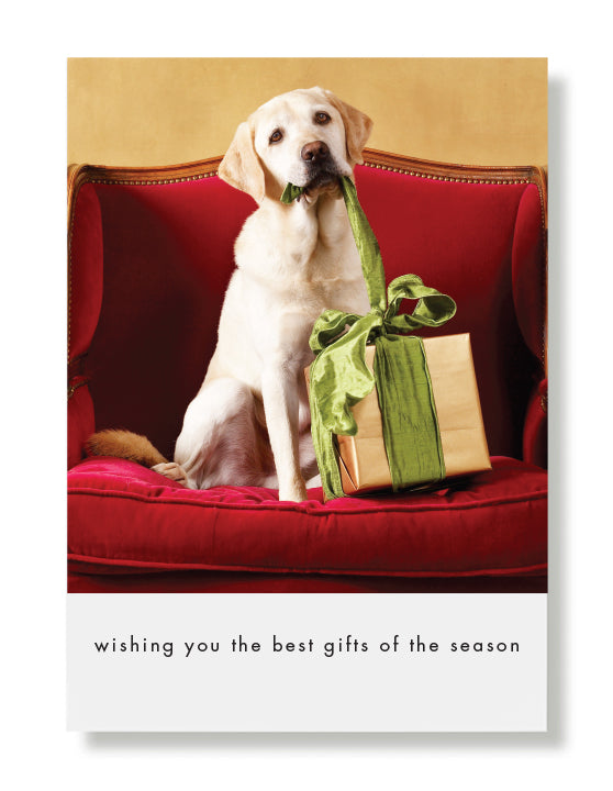 Rookie Wishing Greeting Card