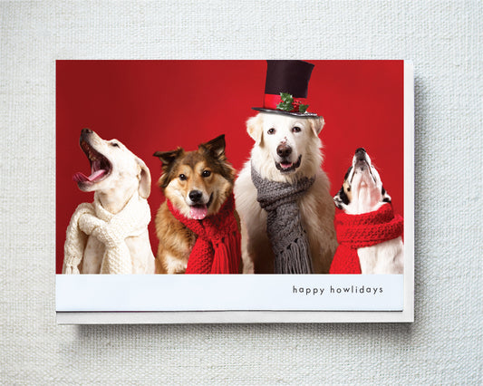 Freckles, Corey, Harvey...Greeting Card - Holiday 10 Pack