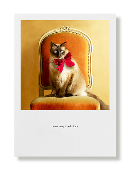 Jasper Greeting Card