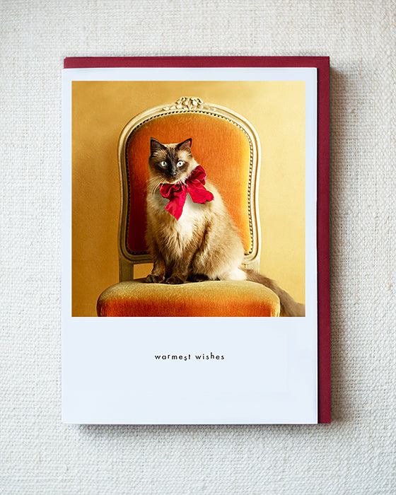 Jasper Greeting Card - Holiday 10 Pack