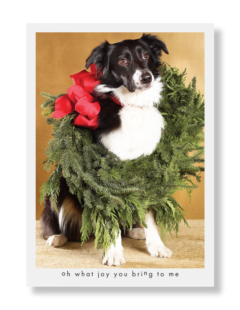 Luna Greeting Card