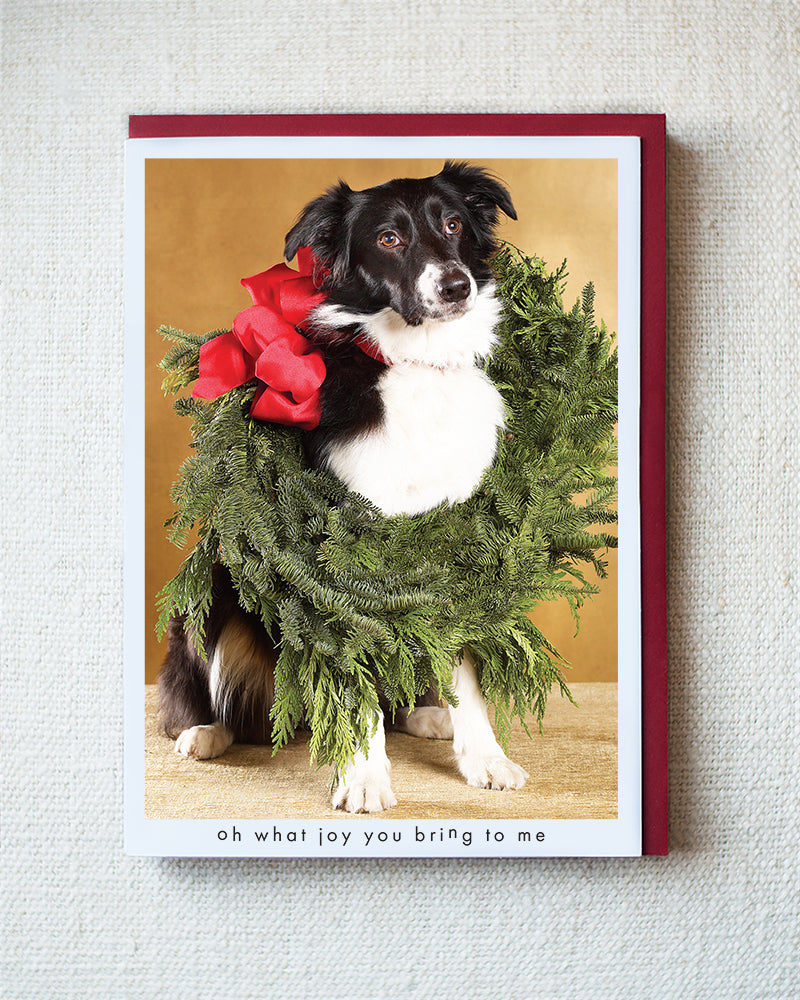 Luna Greeting Card - Holiday 10 Pack