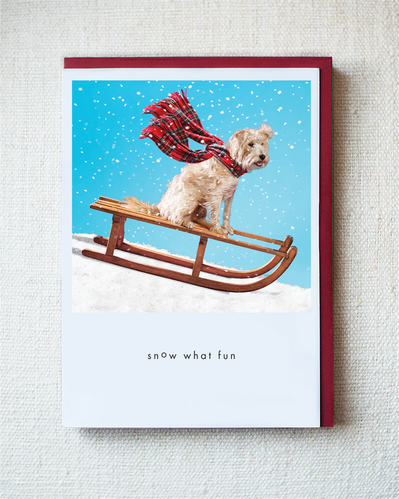 Murphy On Sled Greeting Card - Holiday 10 Pack