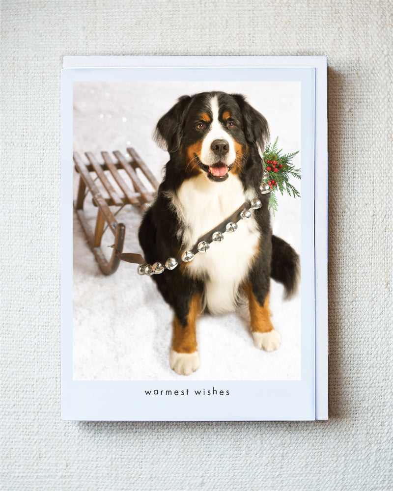 Gable Greeting Card - Holiday 10 Pack