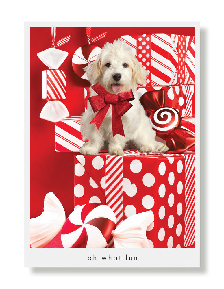 Fraggle Holiday Greeting Card