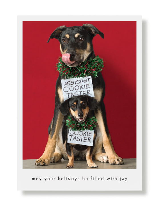 Kona And Miles Greeting Card
