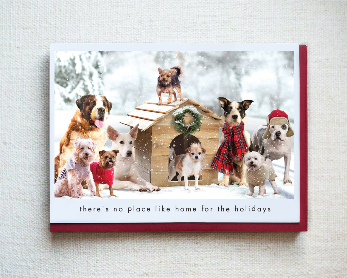 Emerson, Murphy, Ginger Greeting Card - Holiday 10 Pack