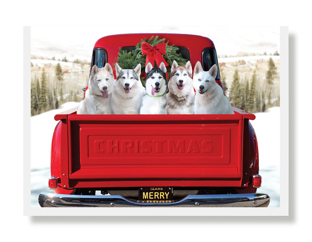 Ice, Ivy, Ghost, Roxie & Inouk Holiday Greeting Card