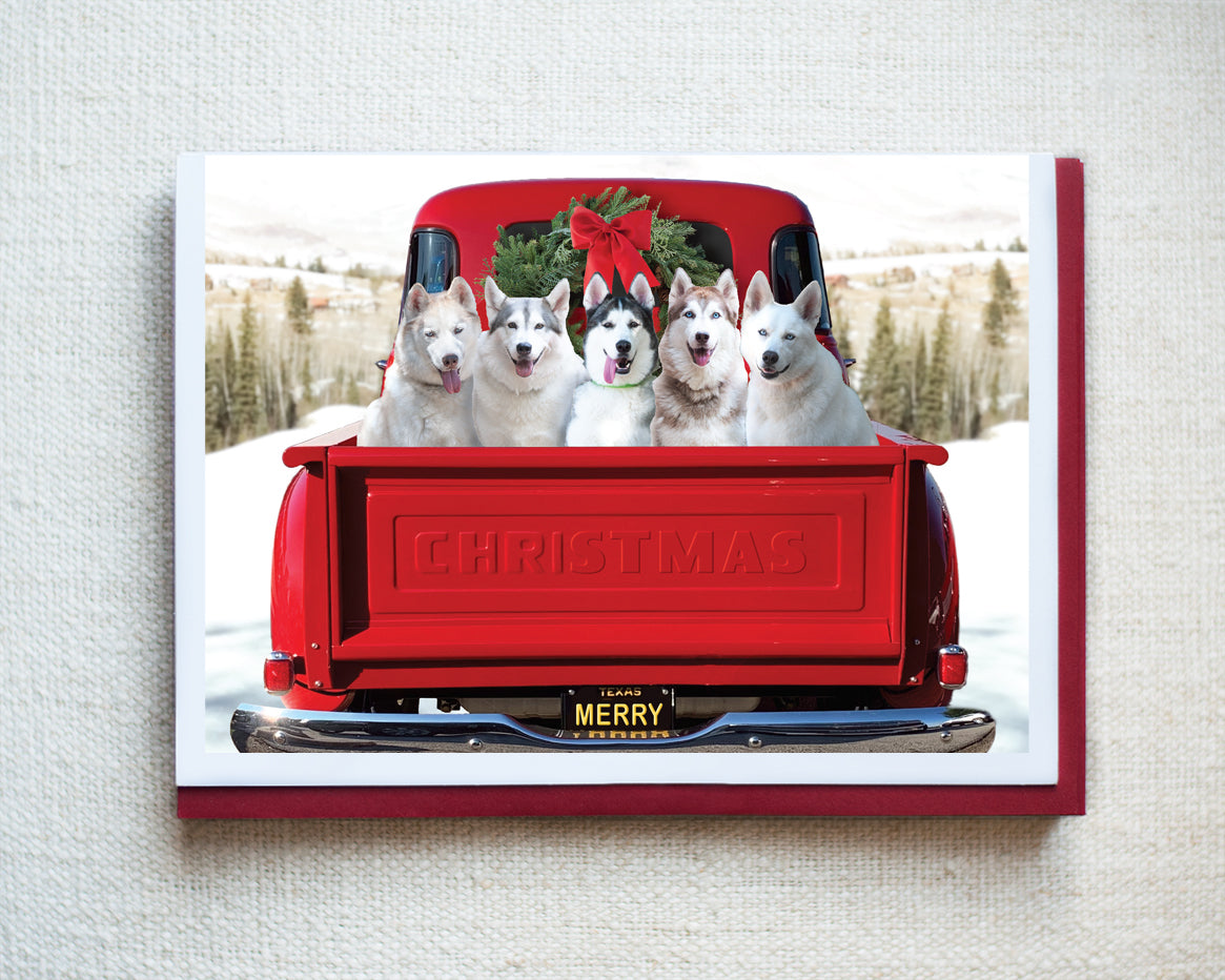 Ice, Ivy, Ghost...Greeting Card - Holiday 10 Pack