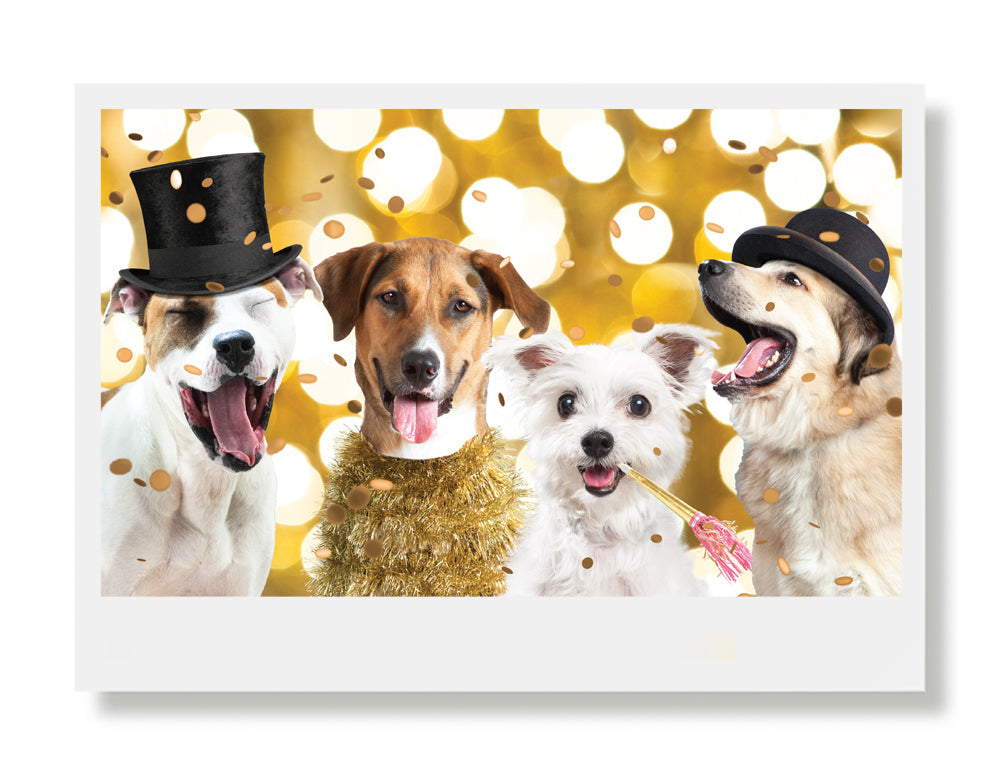 Tucker, Ranger, Dexter and McKool Holiday Greeting Card