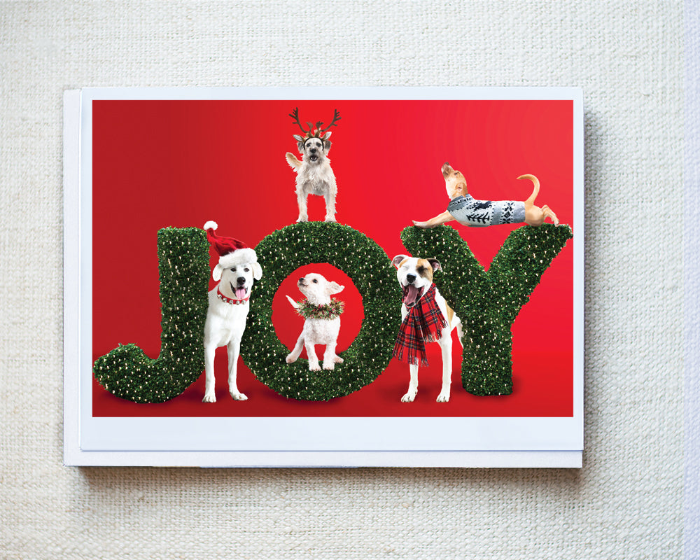 Lance, Fizz, Frazier, Tucker and Princess Greeting Card - Holiday 10 Pack