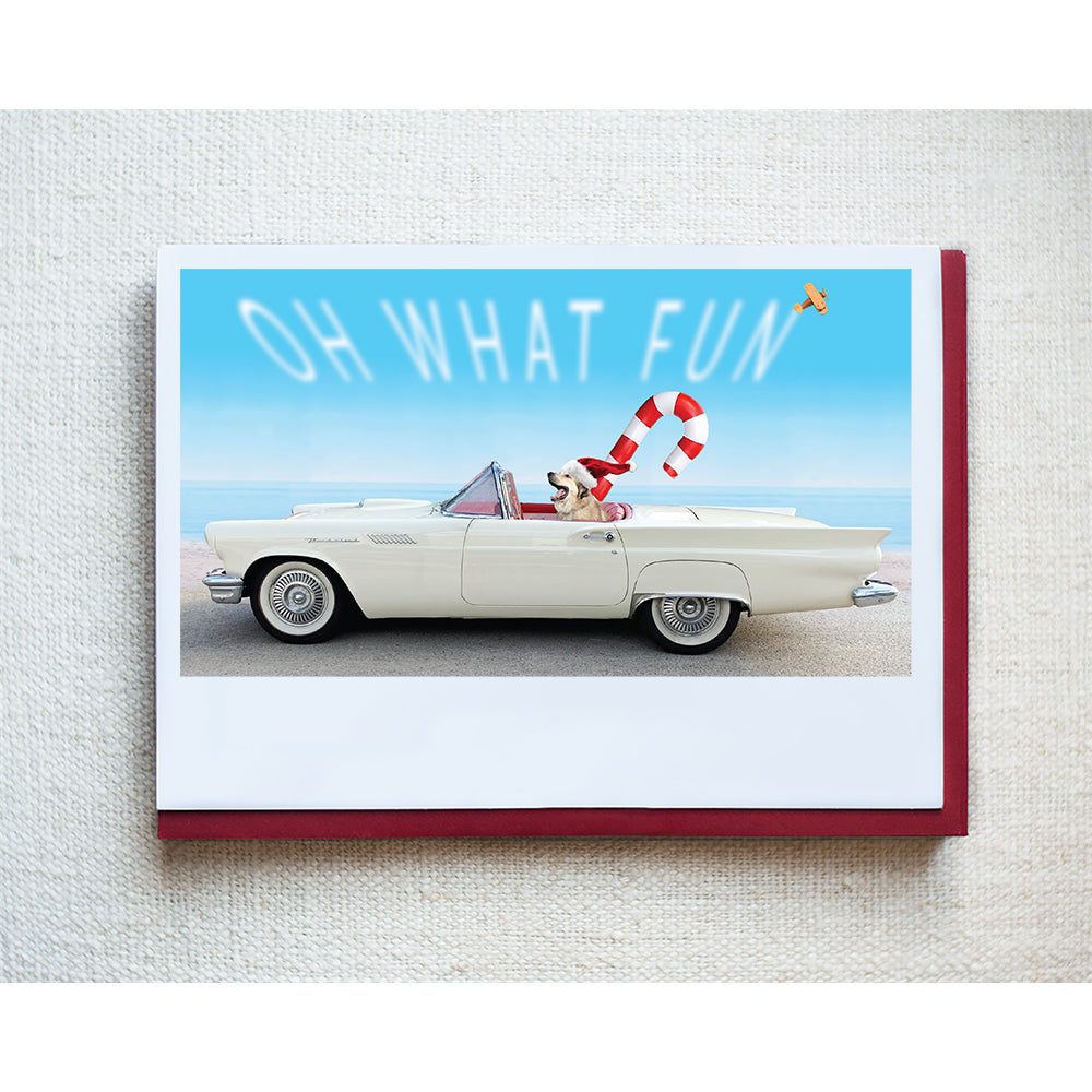 McKool Greeting Card - Holiday 10 Pack