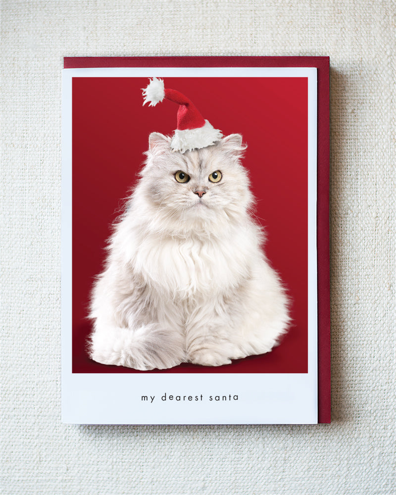 Princessa Greeting Card - Holiday 10 Pack