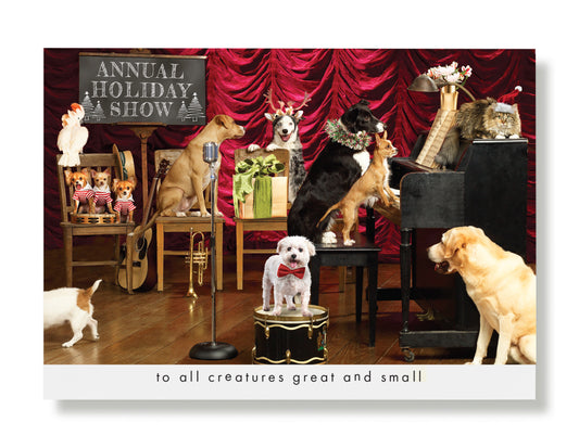 Bibi, Mango, Princessa, Adelita... Holiday Greeting Card