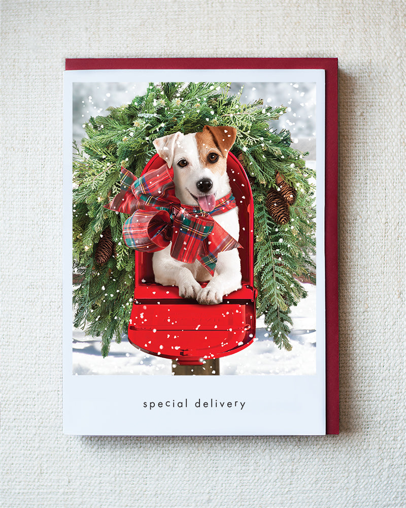 Rosie Holiday Greeting Card - Holiday 10 Pack