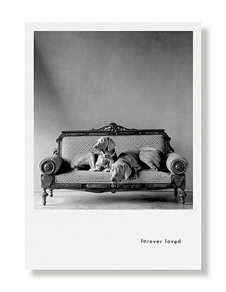 Heidi and Sailor Sympathy Greeting Card