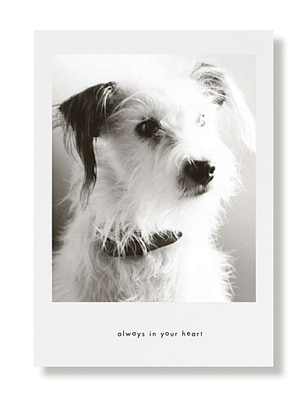 Buster Sympathy Greeting Card