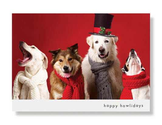 Freckles, Corey, Harvey and Olive Greeting Card