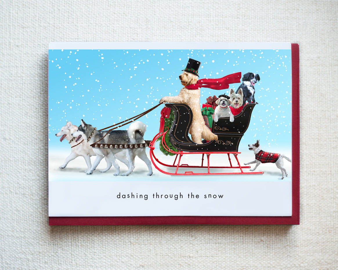 Inouk, Ghost, Sultan, Chloe, Teddy, Opie...Greeting Card - Holiday 10 Pack