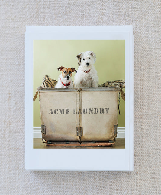 Bibi And Buster Note Card Set