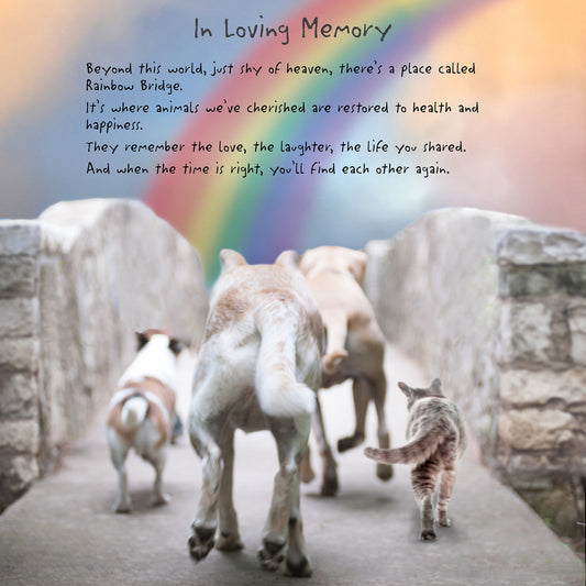 Rainbow Bridge Print
