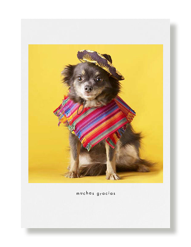 Maggie "Muchas Gracias" Greeting Card