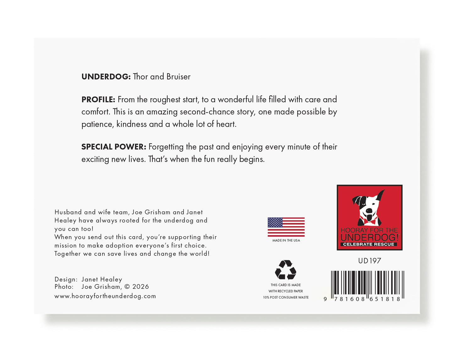 Thor and Bruiser Greeting Card