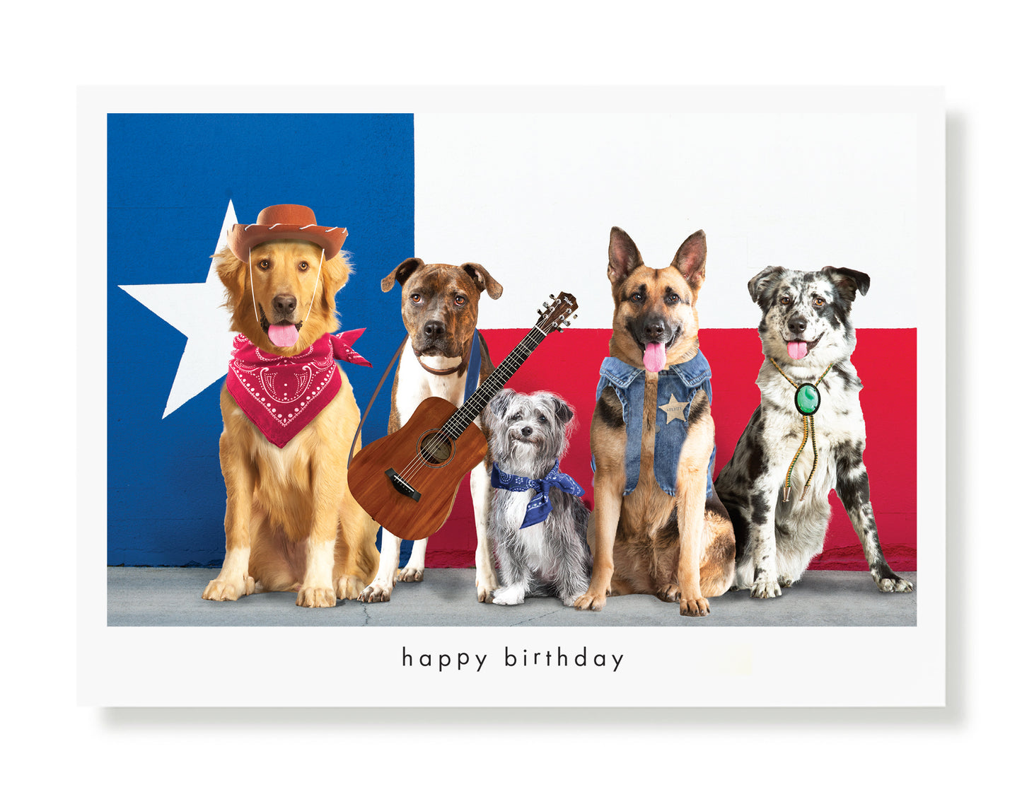 Fletch, Sugar, Cosmo, Ethel and Darcie Birthday Greeting Card