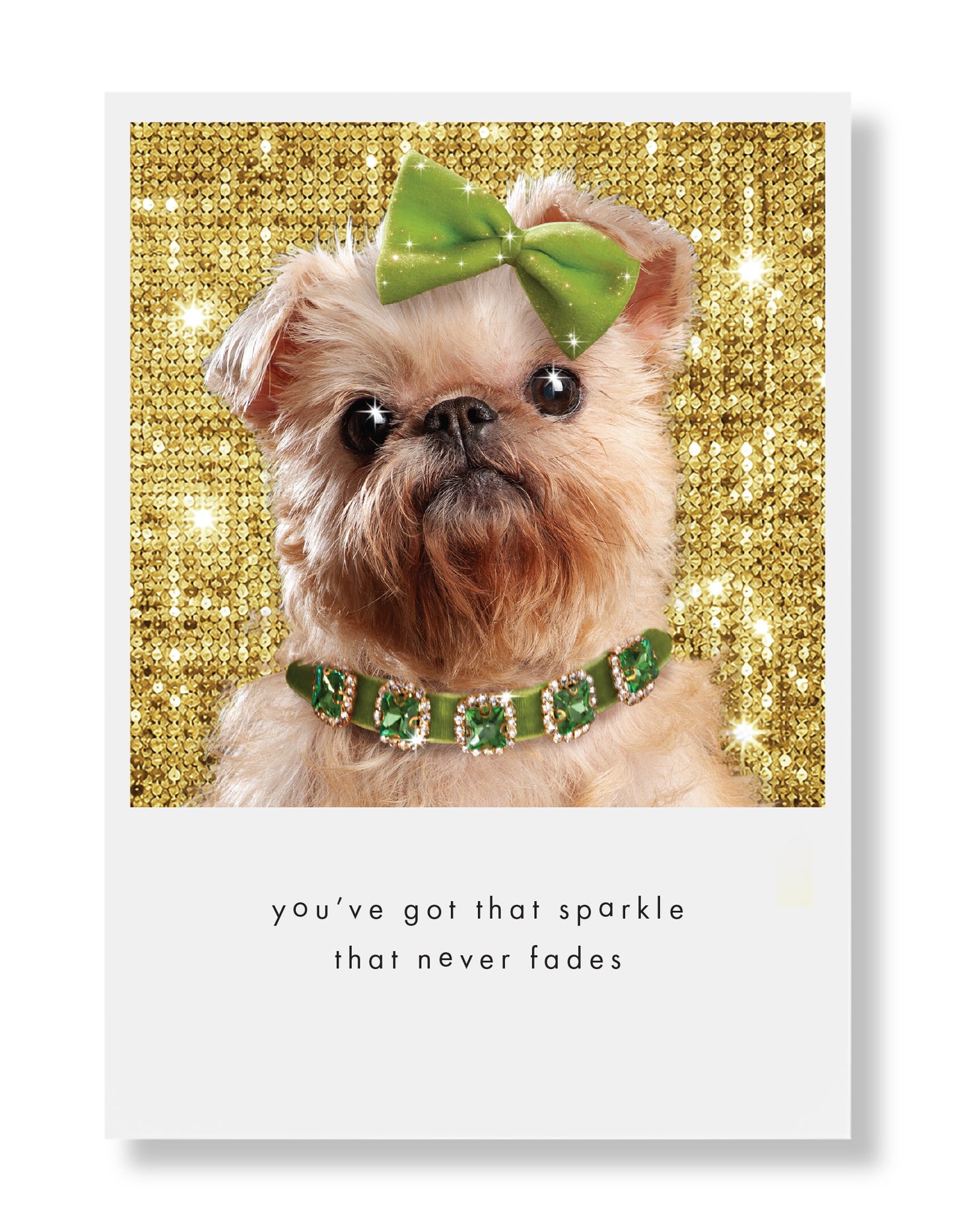 Phoebe Greeting Card