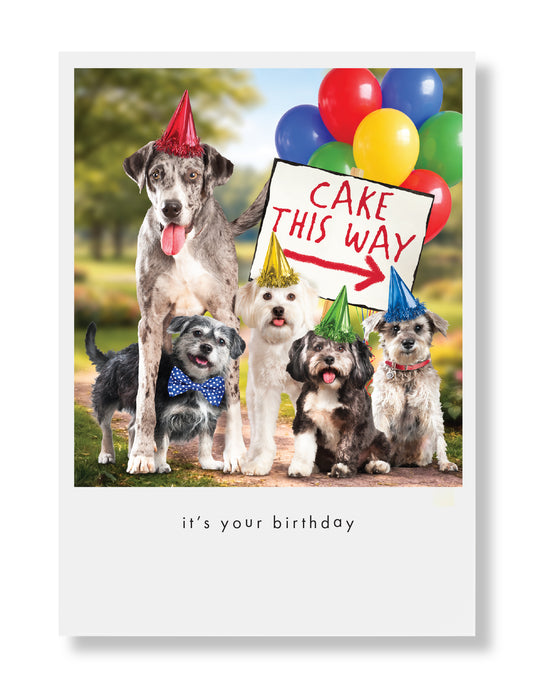 Theo, Cici, Delilah, Dash and Jasmine Greeting Card