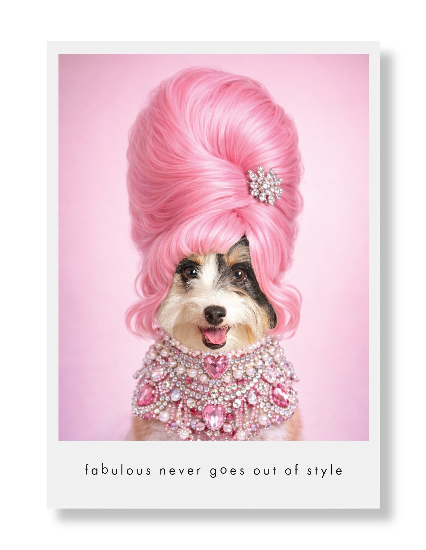 Bailey Greeting Card