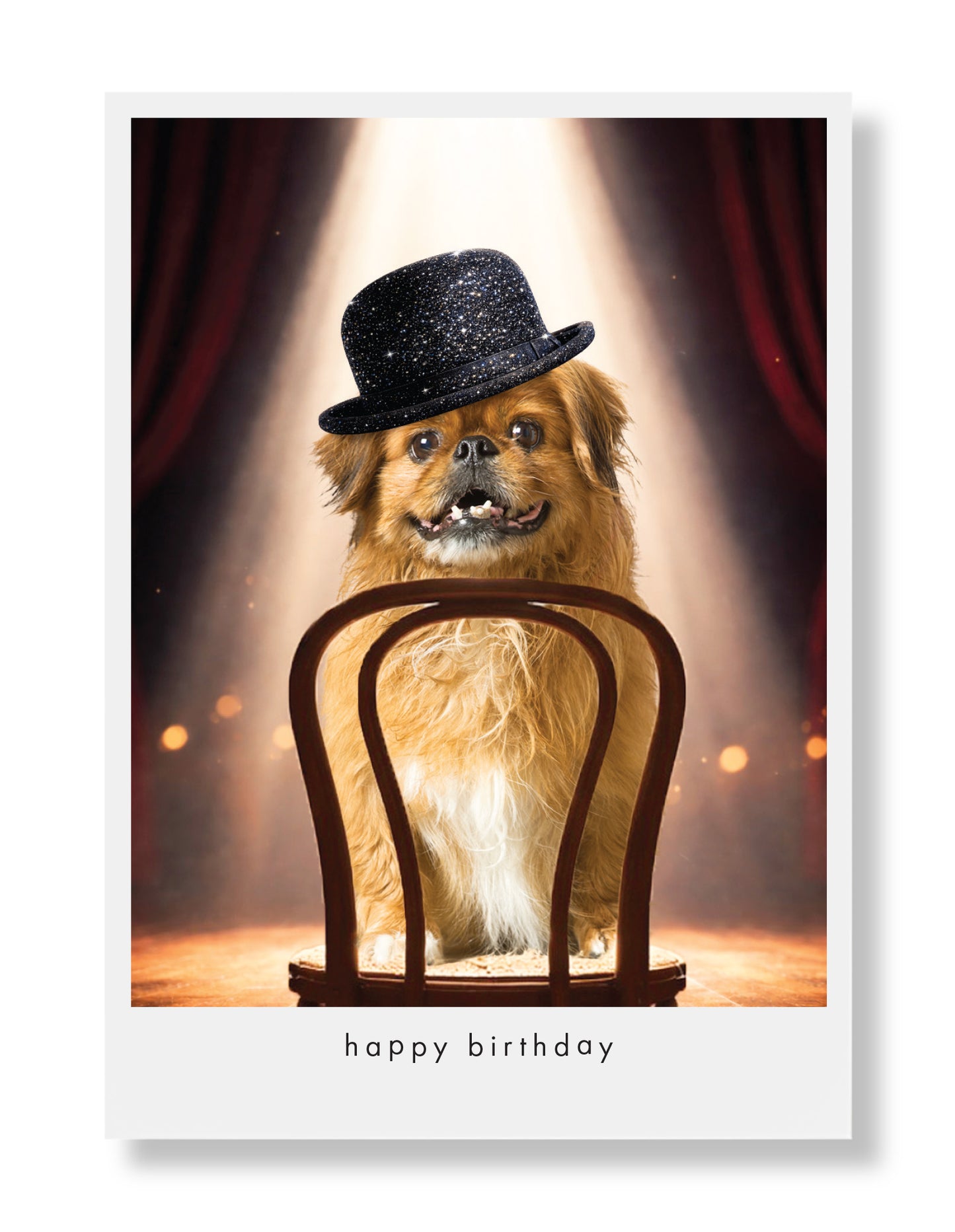 Gracie Greeting Card