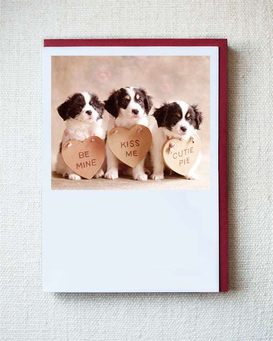 Terrier-Mix Puppies Valentine Greeting Card 10 Pack