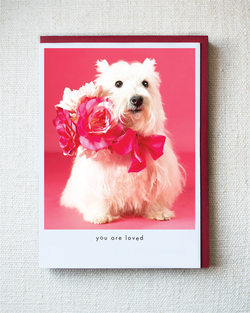 Sabrina Valentine Greeting Card 10 Pack