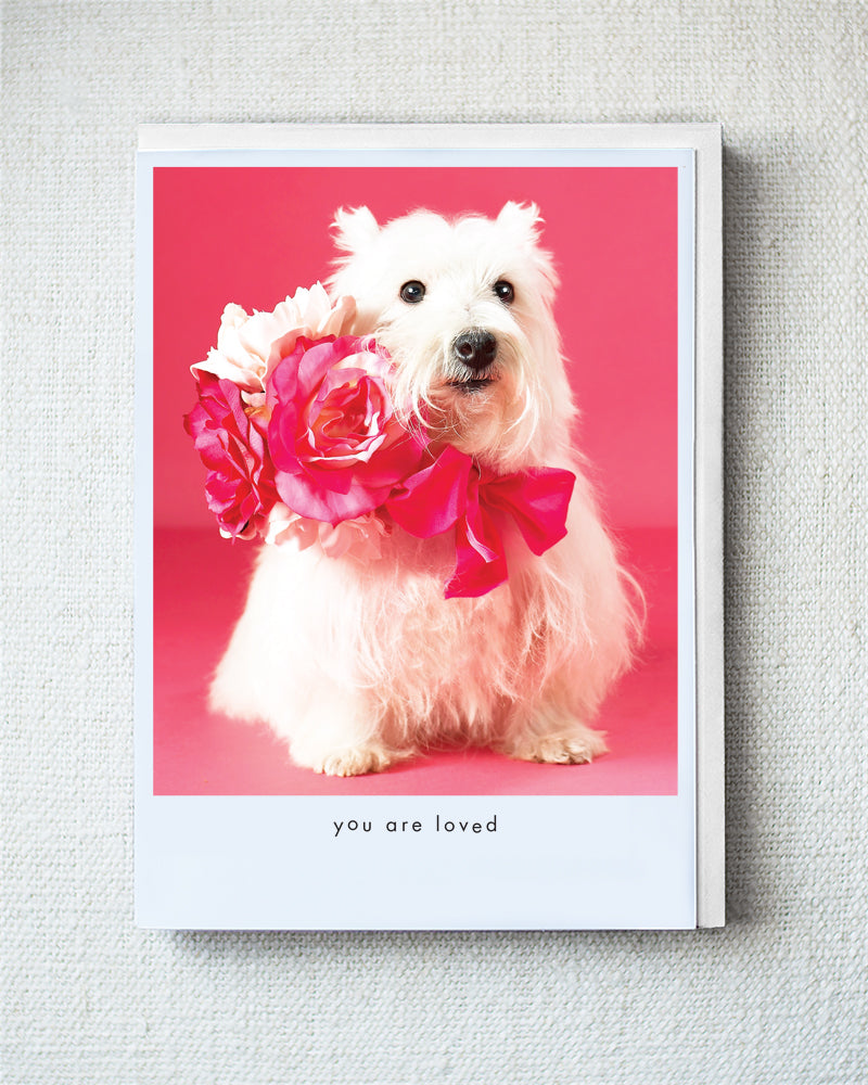 Sabrina Valentine Greeting Card 10 Pack