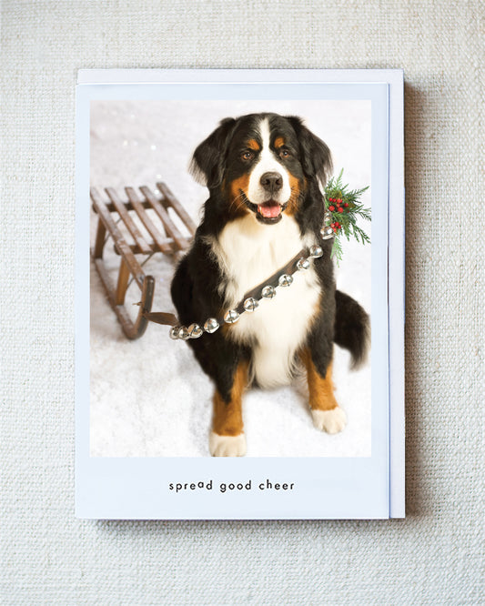 Gable Greeting Card - Holiday 10 Pack