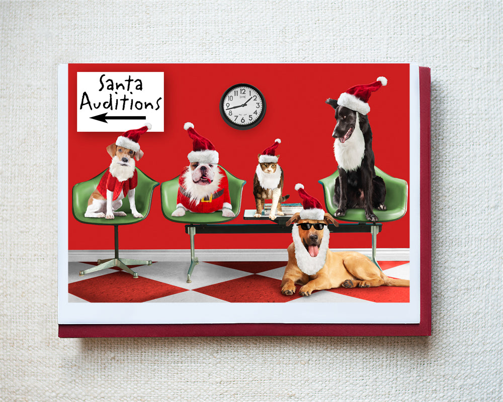 Leo, Tallulah, Bitsy, Milo & Barney Greeting Card - Holiday 10 Pack