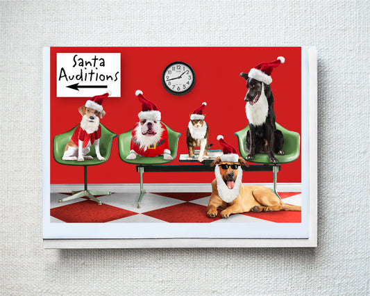 Leo, Tallulah, Bitsy, Milo & Barney Greeting Card - Holiday 10 Pack