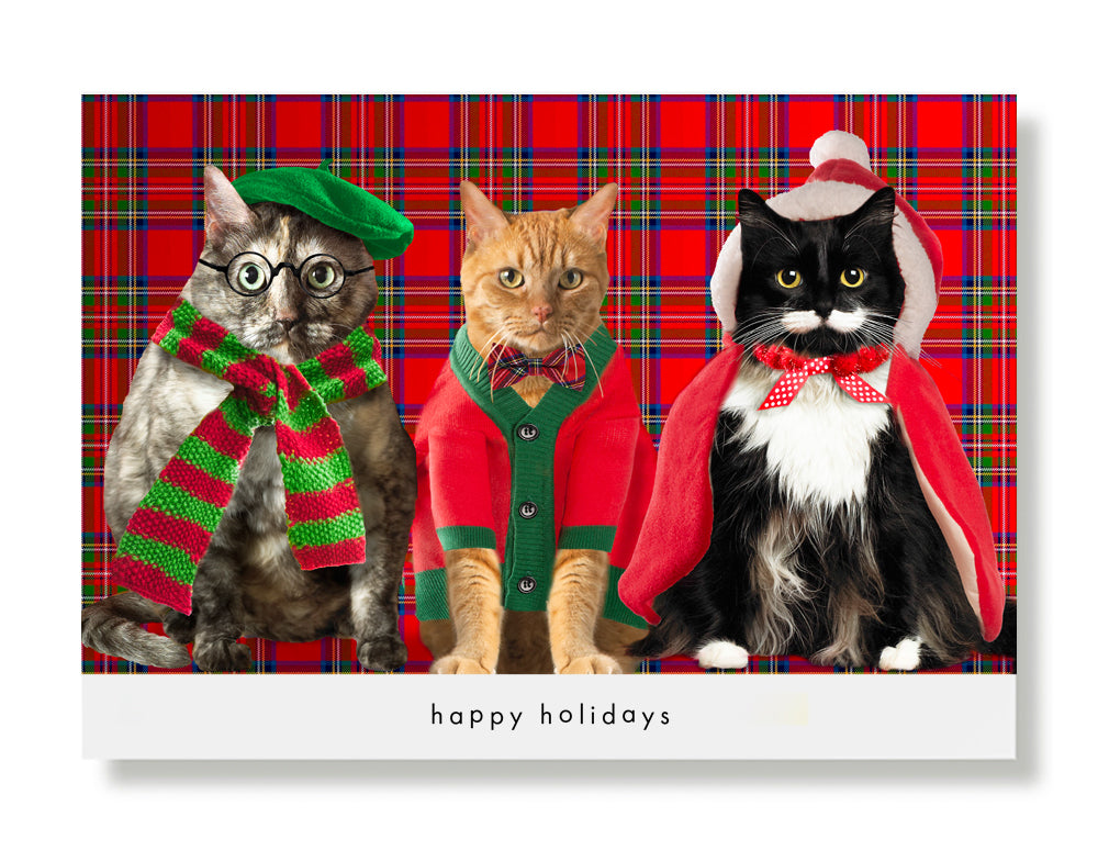 Travis, Benjamin, & Milo  Holiday Greeting Card