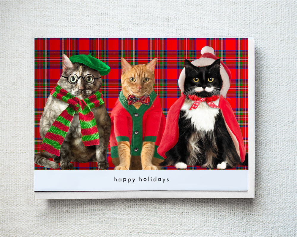 Travis, Benjamin, & Milo Greeting Card - Holiday 10 Pack