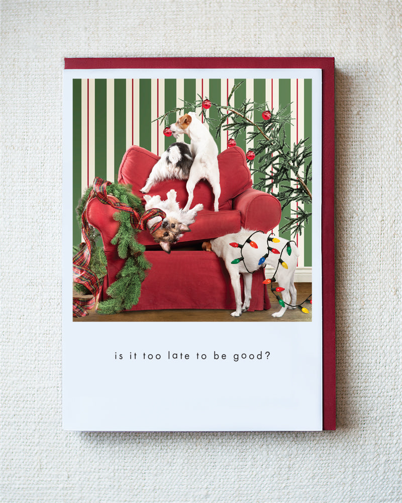 The Jack Pack Greeting Card - Holiday 10 Pack