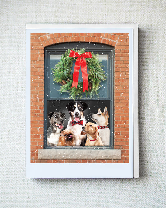 Dandy, Roco, Lenny, Cecelia & Thor Greeting Card - Holiday 10 Pack