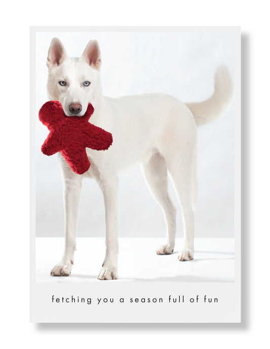 Rider Holiday Greeting Card