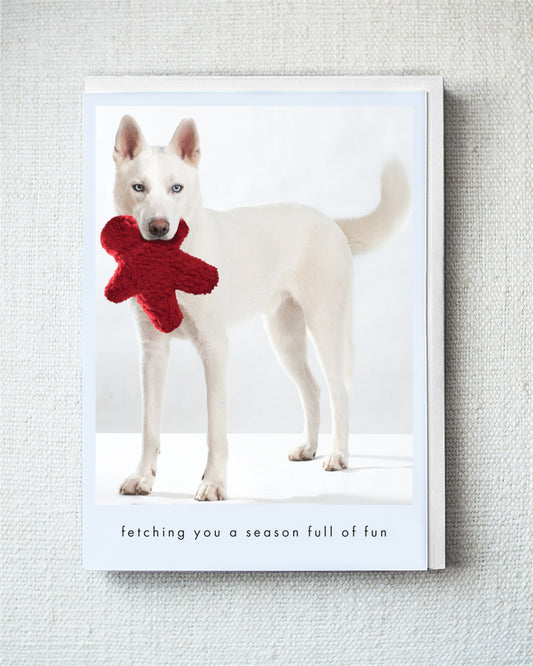 Rider Greeting Card - Holiday 10 Pack