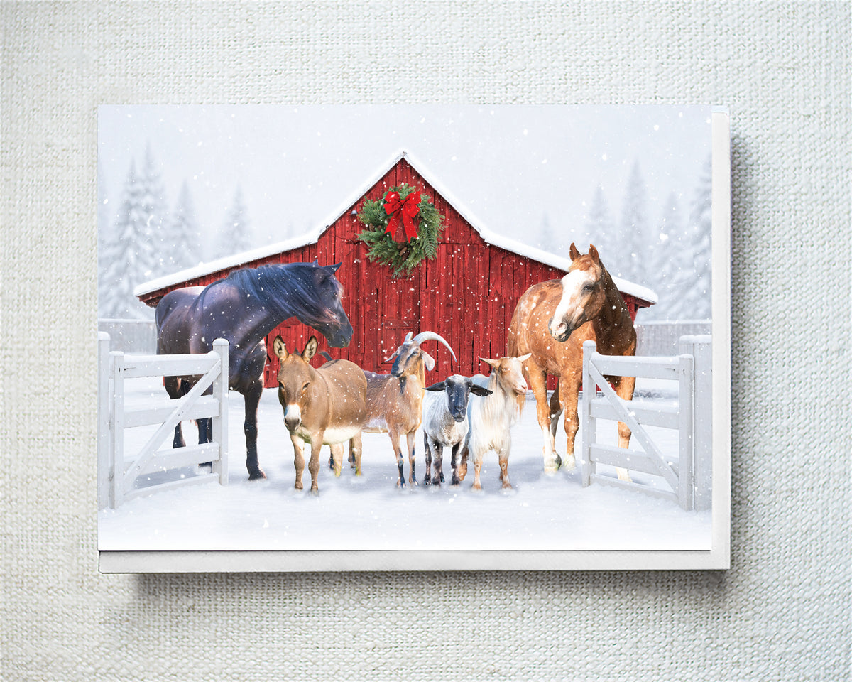 Pepper, Jinx, Trio...Greeting Card- Holiday 10 Pack