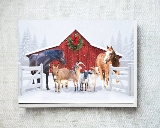 Pepper, Jinx, Trio...Greeting Card- Holiday 10 Pack
