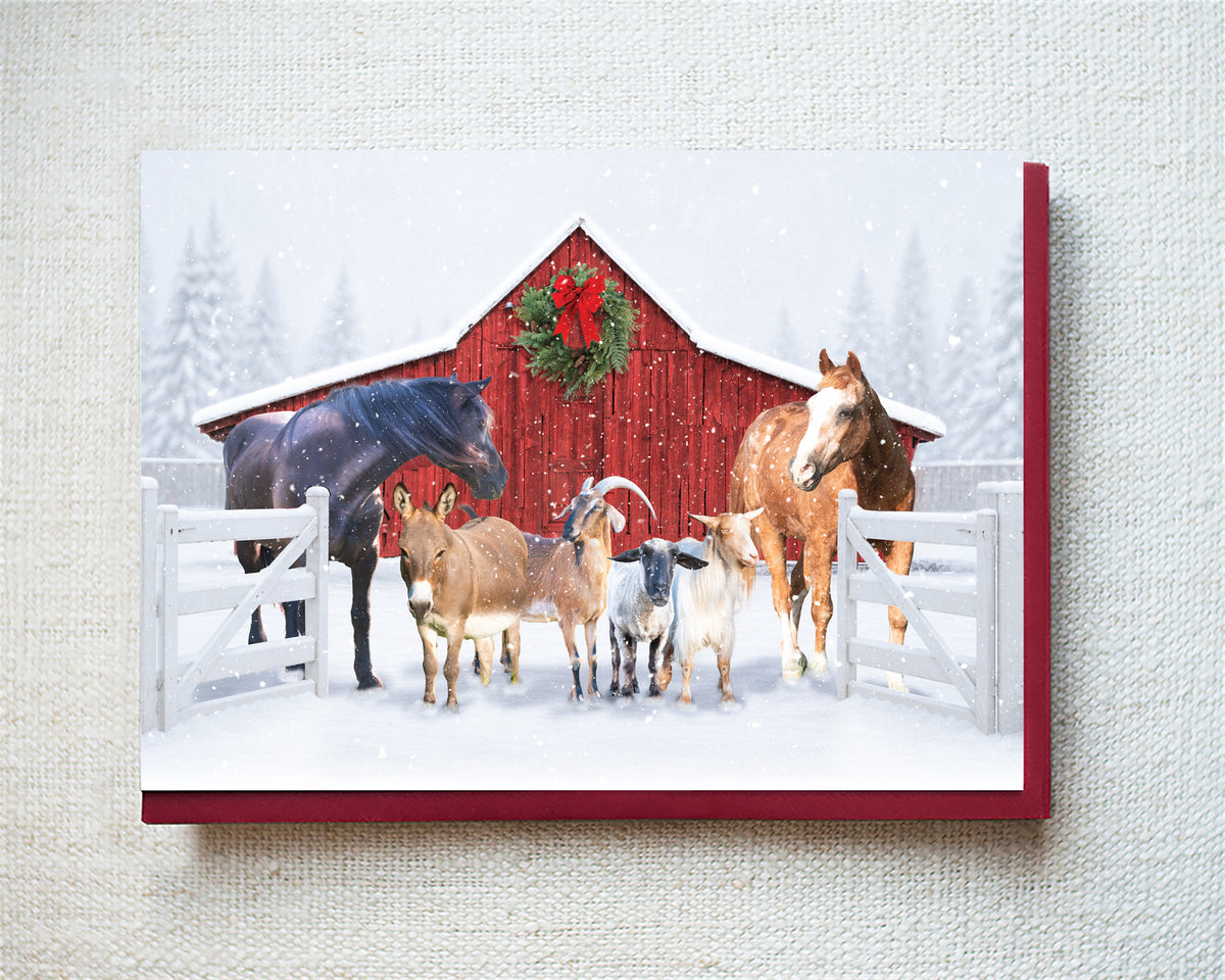 Pepper, Jinx, Trio...Greeting Card- Holiday 10 Pack