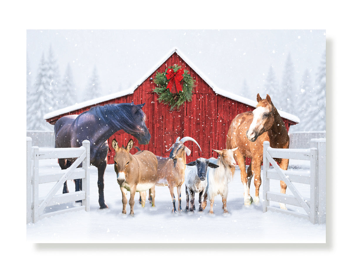 Pepper, Jinx, Trio...Holiday Greeting Card