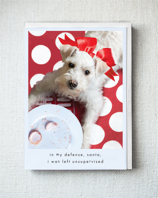 Henry Greeting Card - Holiday 10 Pack