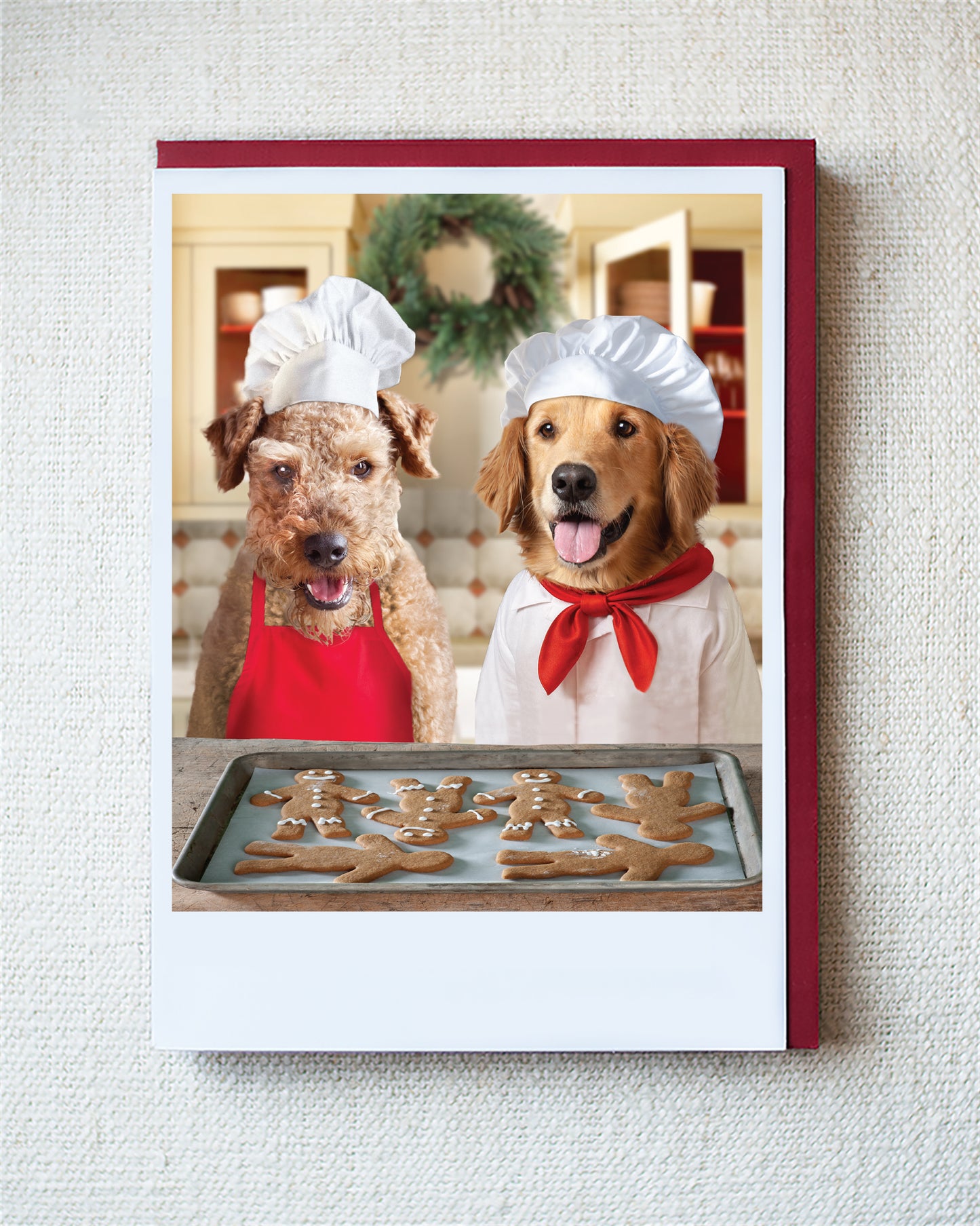 Lulu And Ginger Greeting Card - Holiday 10 Pack